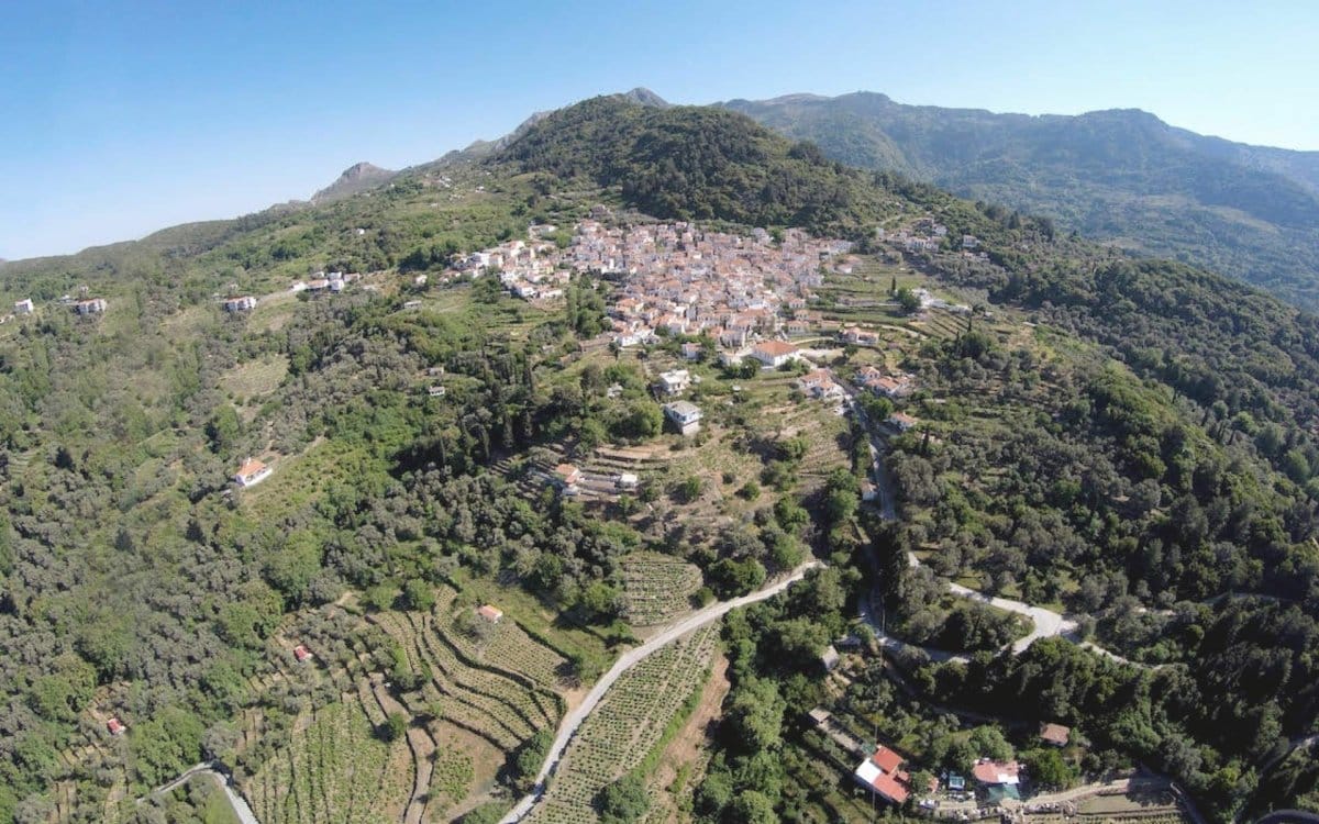 Ambelos-Project-Presentation_5