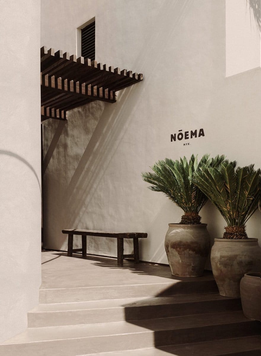 K-StudioLambsandLions_Noema_02_ClausBrechenmacherReinerBaumann