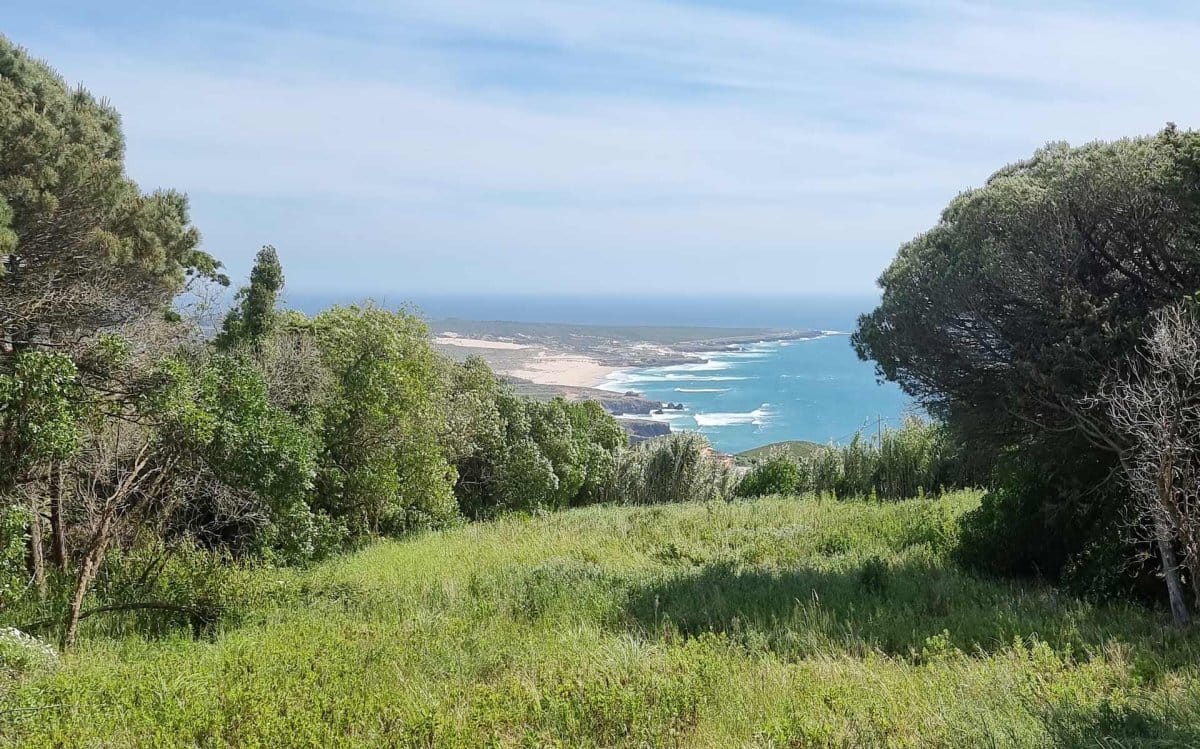 2021-10-11_Portugal_01