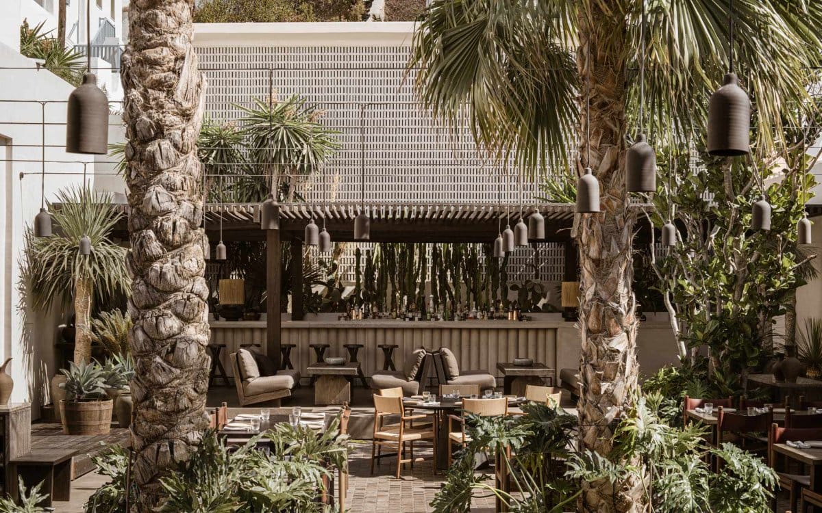 K-StudioLambs-and-Lions_Noema_008_Claus-Brechenmacher-Reiner-Baumann