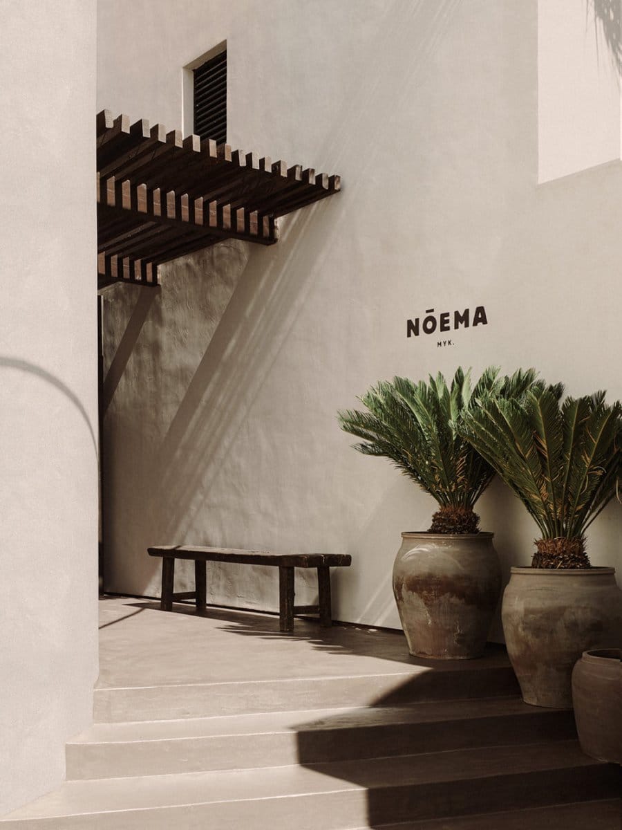 K-Studio&LambsandLions_Noema_THUMB_ClausBrechenmacher&ReinerBaumann