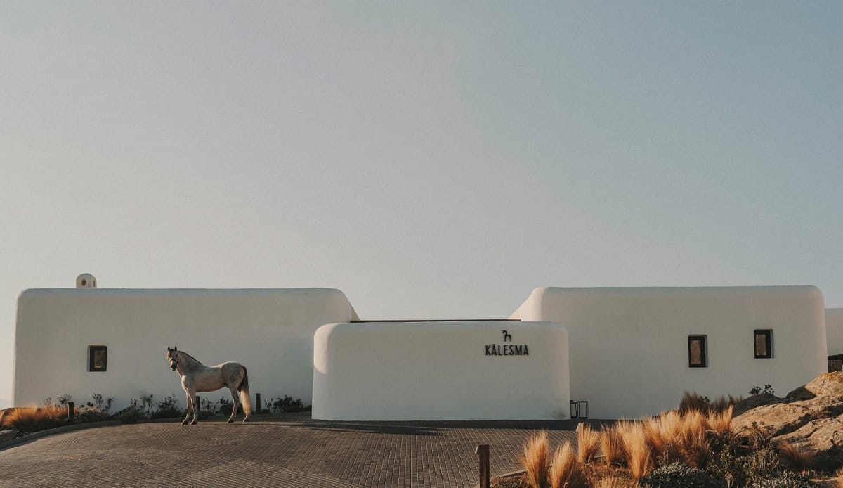 K-Studio_Kalesma_01_SalvaLopez