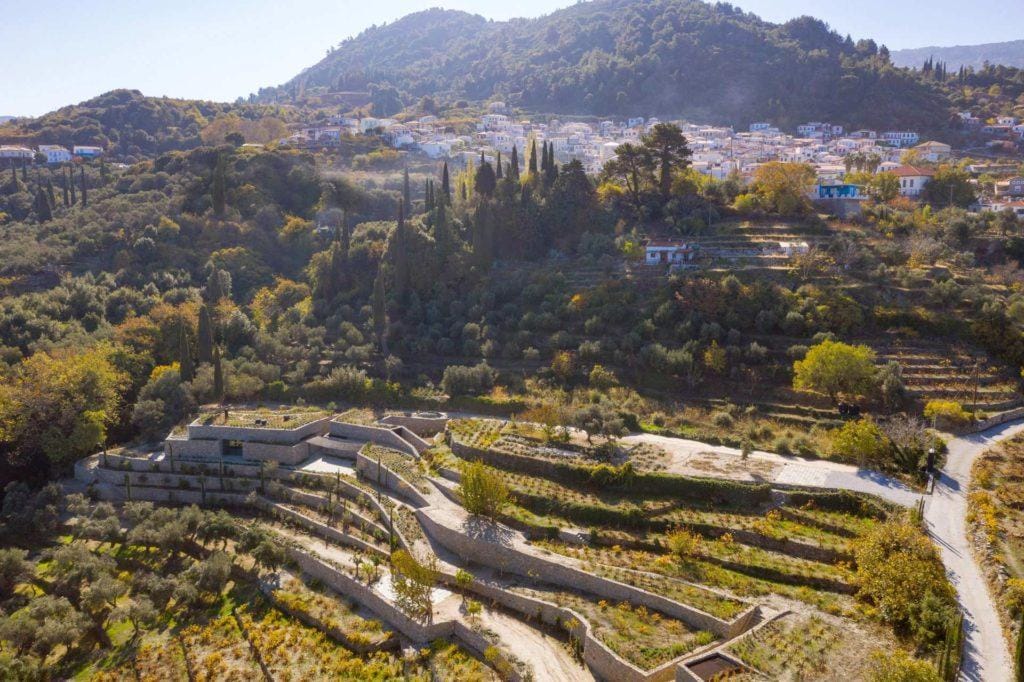 2022-07-21_liknon_03