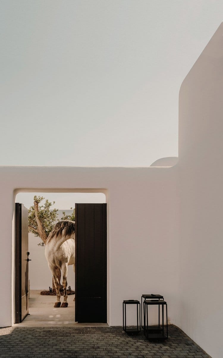 2022-09-16_Kalesma-Shortlisted_00