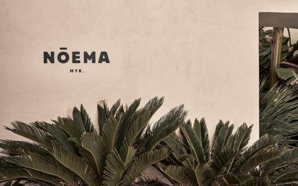 2023-05-18_Noema-Opening-1024x640