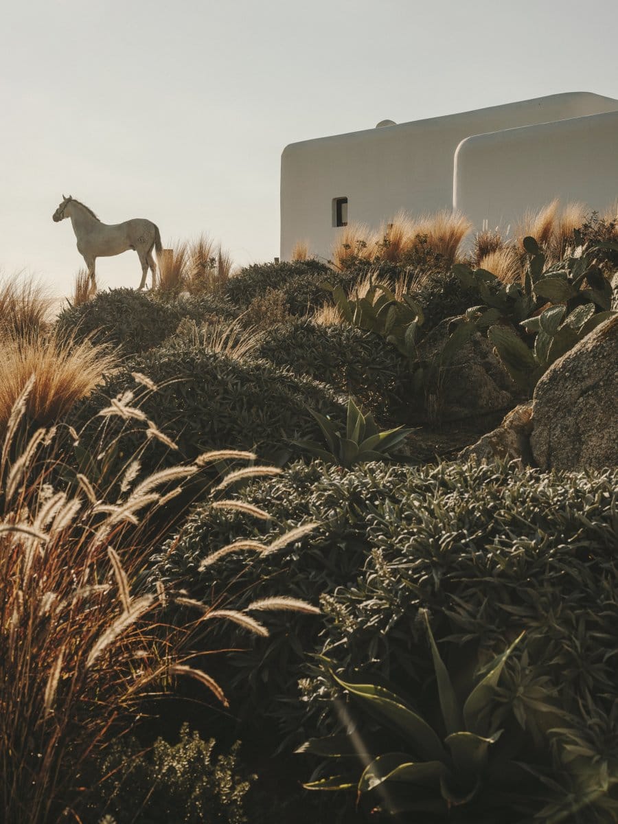 K-Studio_StudioBonarchi_Kalesma_06_Salva Lopez