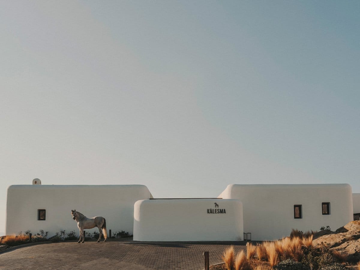 2024-02-14_K-Studio_StudioBonarchi_Kalesma_00_Salva Lopez