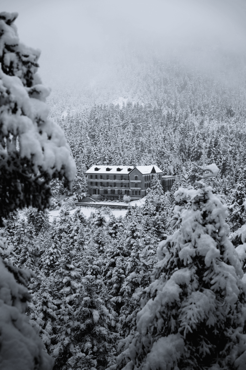 2025-01-24_Snowy Manna