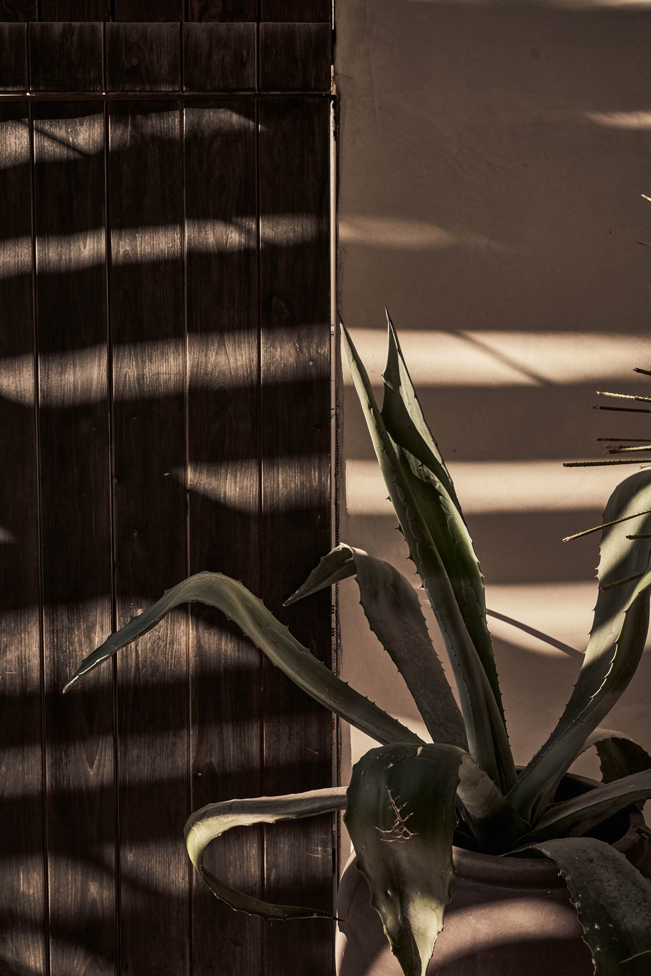 K-Studio&LambsandLions_Noema_13_ClausBrechenmacher&ReinerBaumann