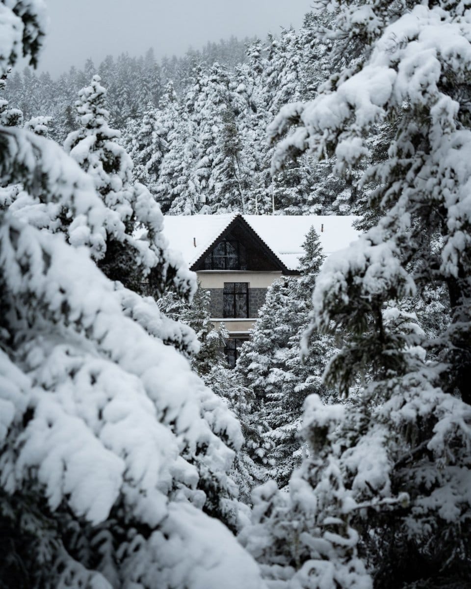 2025-12-29_Snowy Manna