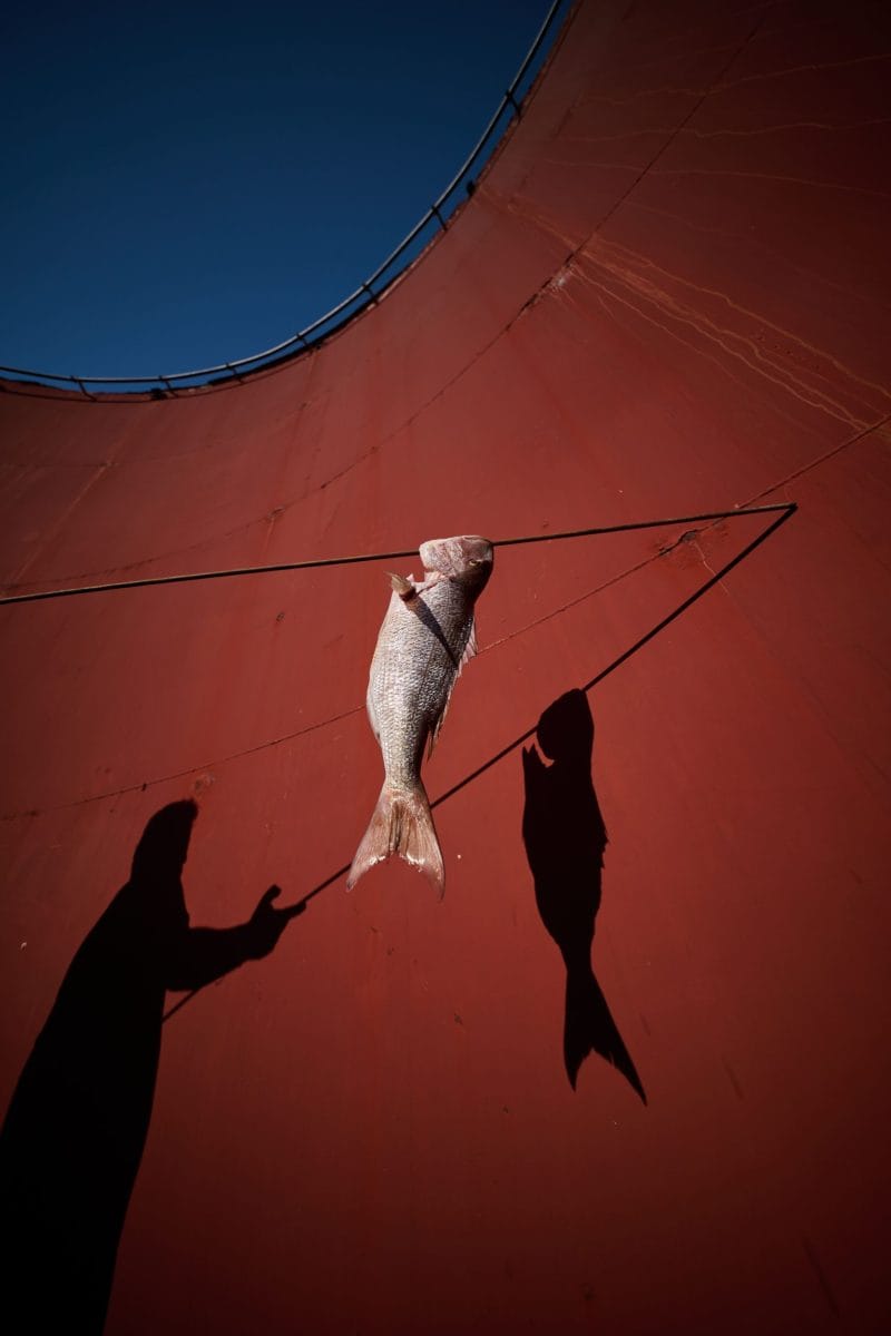 dex.Silo.01 traditional, illegal. dexamenes description 1