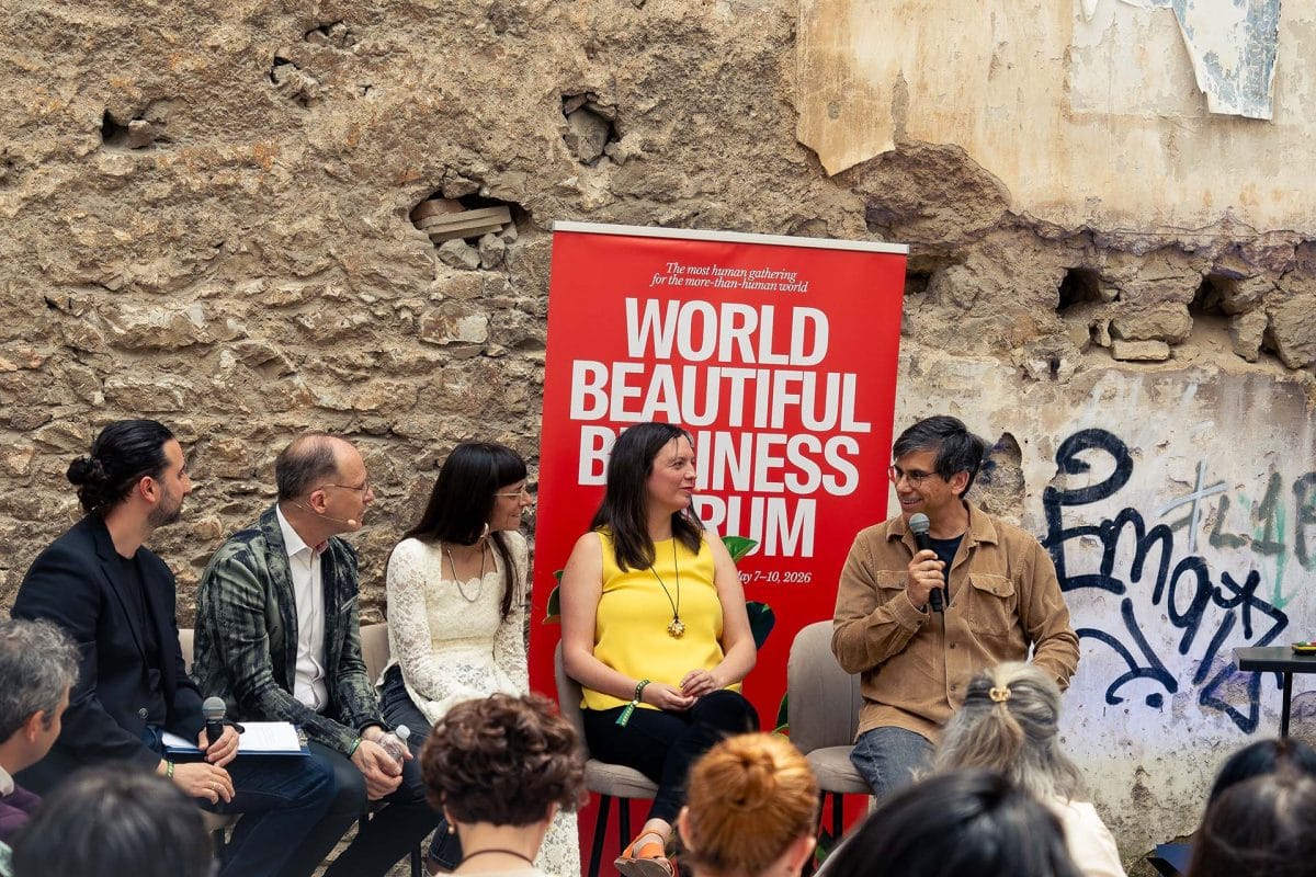2026-05-29_World Beautiful Business Aftermath